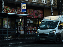 Перевозчиков в Подмосковье обязали сообщать о праве бесплатного проезда