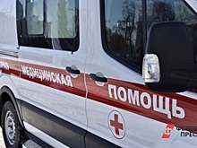 Спасла две жизни: челябинка во время прогулки приняла роды у незнакомки на снегу