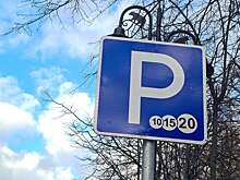 Водителям Петербурга назвали 5 участков, где скоро появятся зоны платных парковок