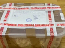 В Подмосковье сотрудники МВД России ликвидировали нарколаборатории, созданные гражданами Украины