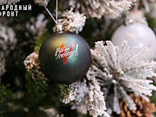 "Народный фронт" запустил ежегодный новогодний сбор для помощи бойцам СВО