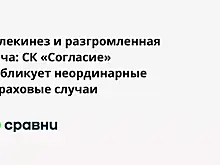 Телекинез и разгромленная дача: СК «Согласие» публикует неординарные страховые случаи