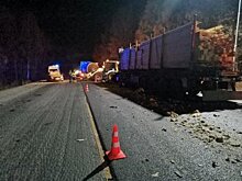 В Башкирии в массовом ДТП погиб водитель грузовика