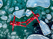 Лучшие фотографии 2025 года