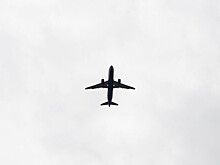 Пилоты самолета российской авиакомпании заметили НЛО в районе Шереметьево