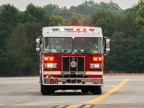 Байден выдвинет вдову сенатора Маккейна на должность представителя США при ФАО ООН