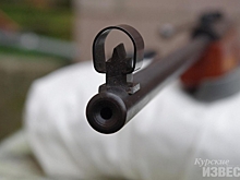 Пьяный курянин выстрелил в пилившего ветки рабочего