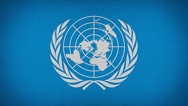 ООН подтвердила высокий статус «ФосАгро»