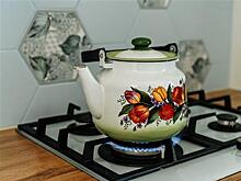 Вызов специалиста "Газпром газораспределение Самара" для возобновления подачи газа после отключения за долги обязателен