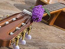 Бардовские песни прозвучат в библиотеке на Алтушке