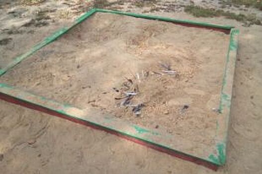 Челябинские школьники похоронили погибших птиц во дворе в песочнице