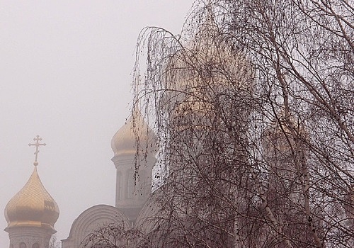 Переменная облачность и до 8 градусов тепла ожидаются в Москве в пятницу
