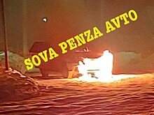 В Бессоновском районе подожгли автомобиль