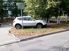 Водитель посчитал газон у мэрии Пензы лучшим местом парковки