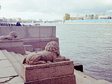 Спуски к воде в Петербурге приравняли к причалам