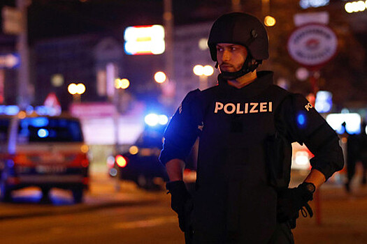 «Действительно страшно»: Вена подверглась атаке