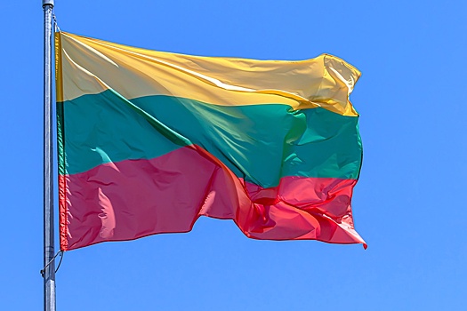 Литва закупила шведское оружие, освященное именем короля