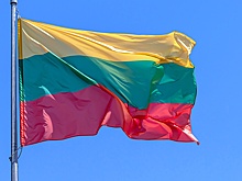 Литва закупила шведское оружие, освященное именем короля