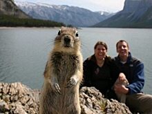 15 забавных животных, которые влезли в кадр без спроса