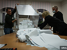 Эсеры продолжат оспаривать итоги выборов в элитном челябинском поселке