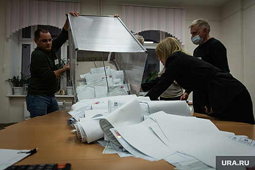 Эсеры продолжат оспаривать итоги выборов в элитном челябинском поселке
