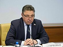 Тимченко назвал прозрачными и демократичными выборы в Туркмении