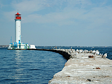 Черное море превратилось в зеленое