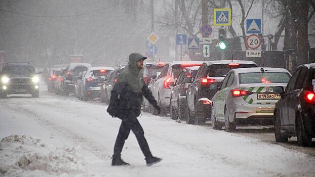 Прирост осадков в Москве в результате снегопада достиг 12 сантиметров