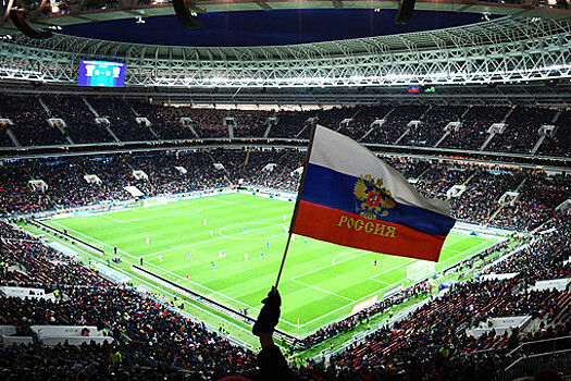 Гендиректор оргкомитета назвал успешной организацию матча России и Бразилии