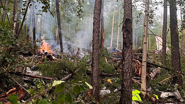 Опубликованы первые снимки разбившегося в Приамурье Ан-24