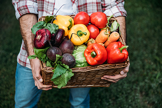 В каких продуктах самое высокое содержание витамина Е