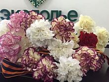 В ЖК Экодолье Оренбург поздравили ветеранов, тружеников тыла и детей войны