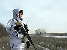 В Госдуме получили разъяснение от Минцифры по работе Telegram в зоне СВО