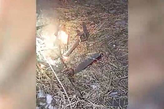 В ДНР показали видео падения горящей украинской «Бабы-яги»