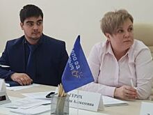 Эксперты ОНФ и представители МСП обсудили взаимодействие по майскому указу