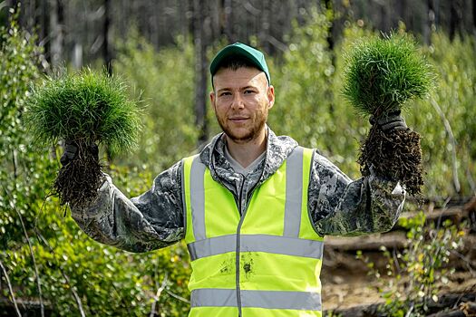 Лауреатов Экологической премии Москвы – 2025 наградили в столице