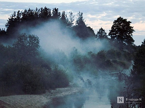 «И снова вонь»: нижегородцы массово пожаловались на жуткие запахи 31 июля