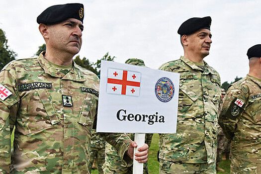Грузия и Румыния создадут совместный военный комитет