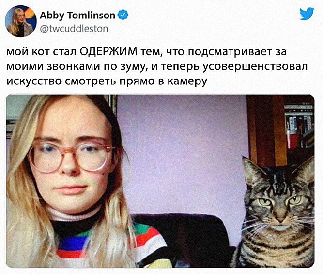 С котом рабочие созвоны становятся эффективнее. 