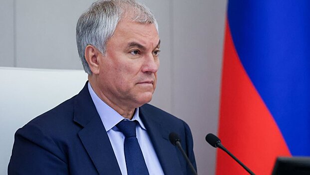 Вячеслав Володин призвал комитеты ГД к активной совместной работе с Правительством