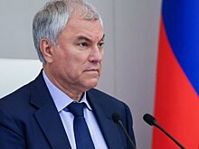 Вячеслав Володин призвал комитеты ГД к активной совместной работе с Правительством