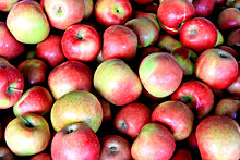Ученые перечислили все уникальные свойства яблок