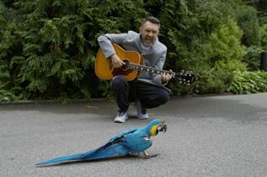 Шнуров сыграл любимую песню попугая в зоопарке