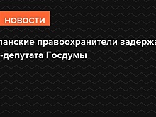 Испанские правоохранители задержали экс-депутата Госдумы
