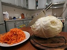 Регионы Северо-Запада собрали неплохой урожай картофеля