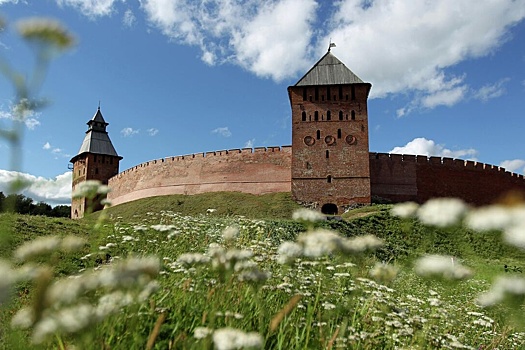 Жители Новгородской области стали реже путешествовать за пределы региона