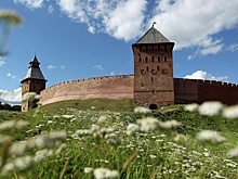 Жители Новгородской области стали реже путешествовать за пределы региона