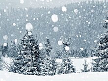 В Кировской области обещают метель