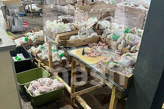 Mash: на Урале нашли склад с десятками килограммов тухлой курицы для шаурмы