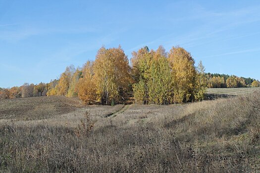 Участок старинного тракта в Удмуртии включили в перечень выявленных объектов культурного наследия